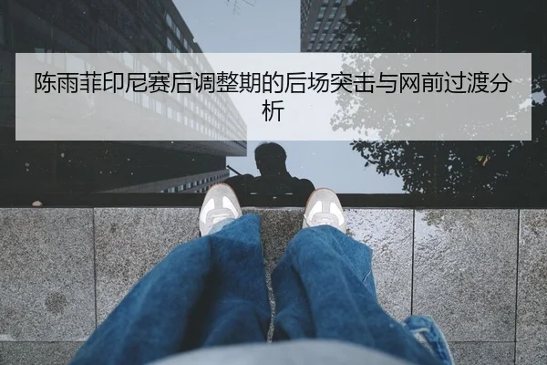 陈雨菲印尼赛后调整期的后场突击与网前过渡分析