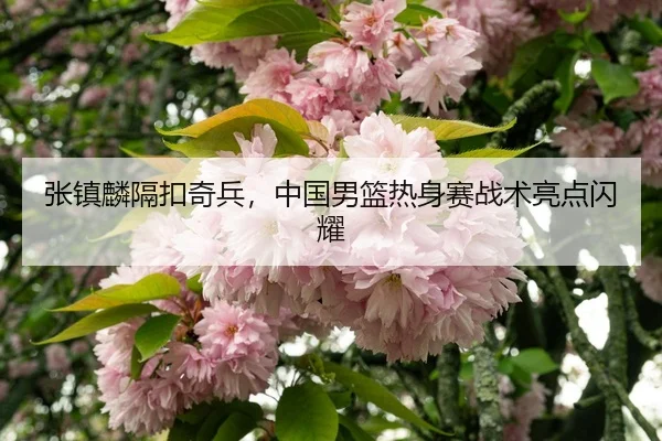 zhang-zhen-lin-ge-kou-qi-bing-zhong-guo-nan-lan-re-shen-sai-zhan-shu-liang-dian-shan-yao-3-170.jpg