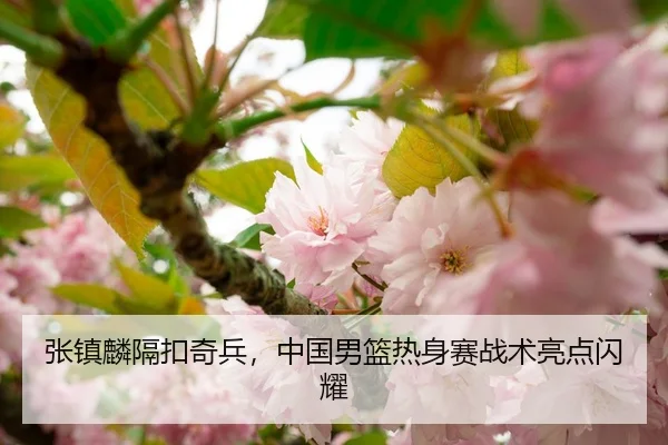张镇麟隔扣奇兵，中国男篮热身赛战术亮点闪耀